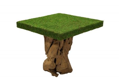 Grass Table